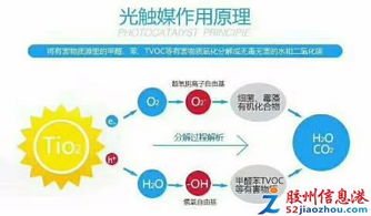 笨鸟环保专业除甲醛.室内空气检测治理.幼儿园.会所出cma环评报告